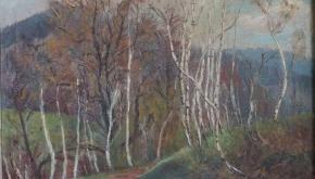 STAROŽITNOSTI ING. IVETA JANÍČKOVÁ